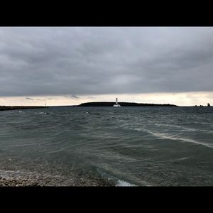 Meet your Posher, Shane